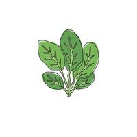 Single continuous line drawing of whole healthy organic green spinach leaves for farm logo identity. Fresh leafy green flowering concept for plant icon. Modern one line draw design vector illustration