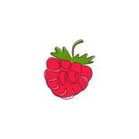 One continuous line drawing of whole healthy organic raspberry for orchard logo identity. Fresh berry fruitage concept for fruit garden icon. Modern single line draw design vector graphic illustration