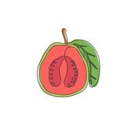 One single line drawing half sliced healthy organic java guava for orchard logo identity. Fresh tropical fruit concept for garden icon. Modern continuous line draw design graphic vector illustration