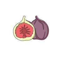 One single line drawing of whole and sliced healthy organic fig for orchard logo identity. Fresh tropical fruitage concept for fruit garden icon. Modern continuous line draw design vector illustration