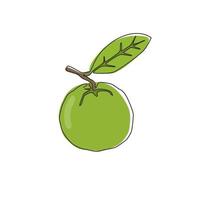 One continuous line drawing whole healthy organic java guava for orchard logo identity. Fresh exotic fruitage concept for fruit garden icon. Modern single line draw design vector graphic illustration