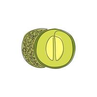 Single continuous line drawing of whole and half sliced healthy organic melon for orchard logo identity. Fresh fruitage concept for fruit garden icon. Modern one line draw design vector illustration