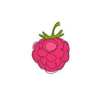 Single continuous line drawing of whole healthy organic raspberry for orchard logo identity. Fresh berry fruitage concept for fruit garden icon. Modern one line draw design graphic vector illustration