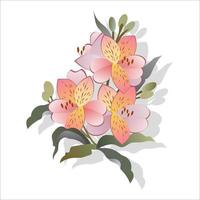 Pink alstroemeria flowers on white background. Vector set of blooming floral for wedding invitations and greeting card design.