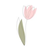 Tulip flower in one line with colored spots vector