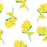 Seamless pattern of yellow mimosa flowers on a white background vector