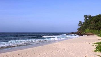 Wild empty beach in Seychelles video