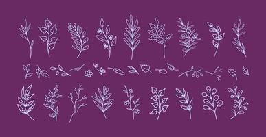 Set of hand drawn lilac leaves and twigs, fantasy branches, on violet background. Elegant natural design vignettes. Collection of isolated romantic flourish dividers and decorations for prints vector