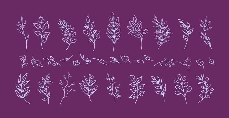 Set of hand drawn lilac leaves and twigs, fantasy branches, on violet background. Elegant natural design vignettes. Collection of isolated romantic flourish dividers and decorations for prints