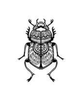 Scarab or scarabaeus beetle, decorative artistic sketch with tangle pattern. Black and white symbol from Egyptian mythology with geometric ornament. Beautiful mystic fantasy design element for prints vector