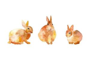 Set of 3 hand drawn watercolor rabbits. Brown watercolor rabbits. Chinese new year of rabbit. Easter rabbits vector