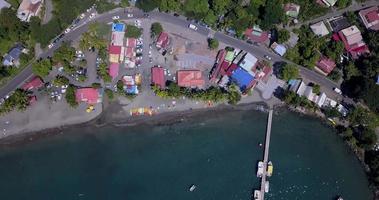 A beach with palm trees and vacationing tourists in Guadeloupe video