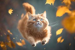 retrato gracioso rojo gato volador en el aire en otoño fotografía foto