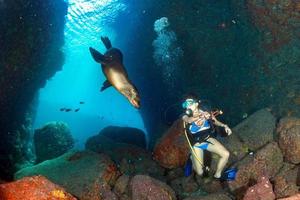 Beaytiful Latina Diver playing with sea lion underwater photo