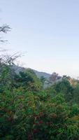 vertical timelapse view of natural winter mountain range with some cloud fog.Flores tropical paradise. Mountain Range under clear blue sky, Aerial View. video