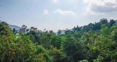 lapso de tiempo ver de natural invierno montaña rango con algunos nube niebla.flores tropical paraíso. montaña rango debajo claro azul cielo, aéreo vista. video