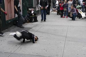 NEW YORK, USA - MAY 7 2019 - Break dancer in 5th avenue photo