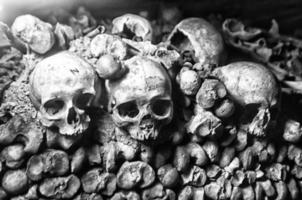 Skulls and bones in black and white photo