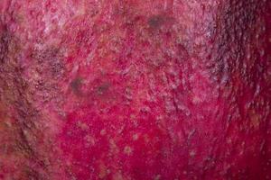 Natural fruit and vegatable texture pomegranate photo