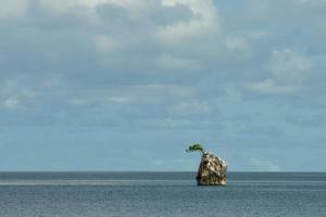 un árbol colgando en un aislado rock en raja ampat Papuasia foto