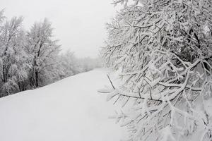 Mountain trail on a snow winter day photo