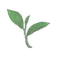 dibujo de una sola línea de hoja de té orgánico saludable para la identidad del logotipo de la bebida a base de hierbas. concepto de naturaleza fresca para el icono de la plantación de té. estilo de rizo de remolino. vector gráfico de diseño de dibujo de línea continua moderna