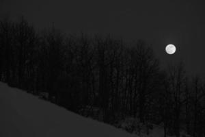 Moon over tree branch in winter time night view in black and white photo