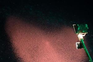 macro detalle de krill en la noche foto