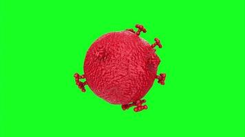 virus isolated on background video