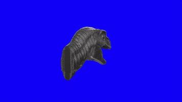 Raptor head isolated on background video