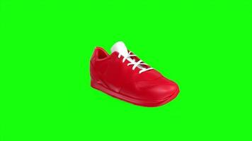 rot Schuh isoliert auf Grün Hintergrund video