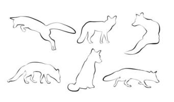 black contours of foxes on a white background vector