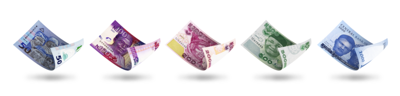 verschillend denominaties van Nigeriaans naira notities. 3d illustratie png