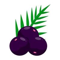 Acai Fruit, Sweet Frut That Comes From The Amazon Forest Which Has Many Health Benefits vector