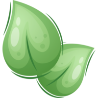 hojas verdes de dibujos animados png