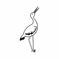 Stork. Vector doodle illustration. Beautiful bird. Hand drawn sketch.