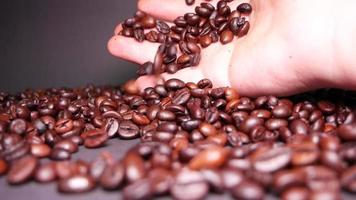 Freshly roasted coffee beans close up video