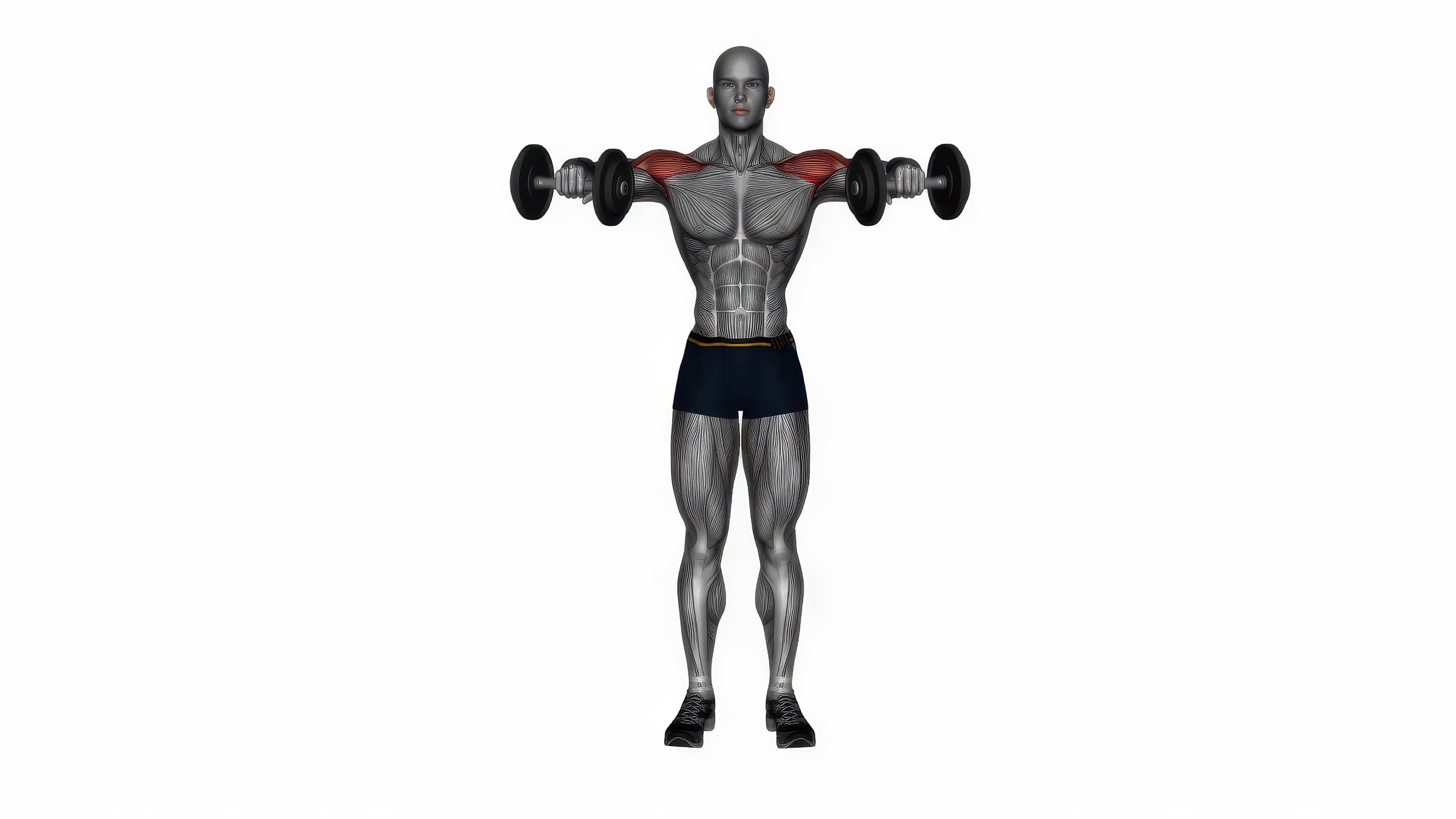 Dumbbell bent arm lateral raise fitness exercise workout animation