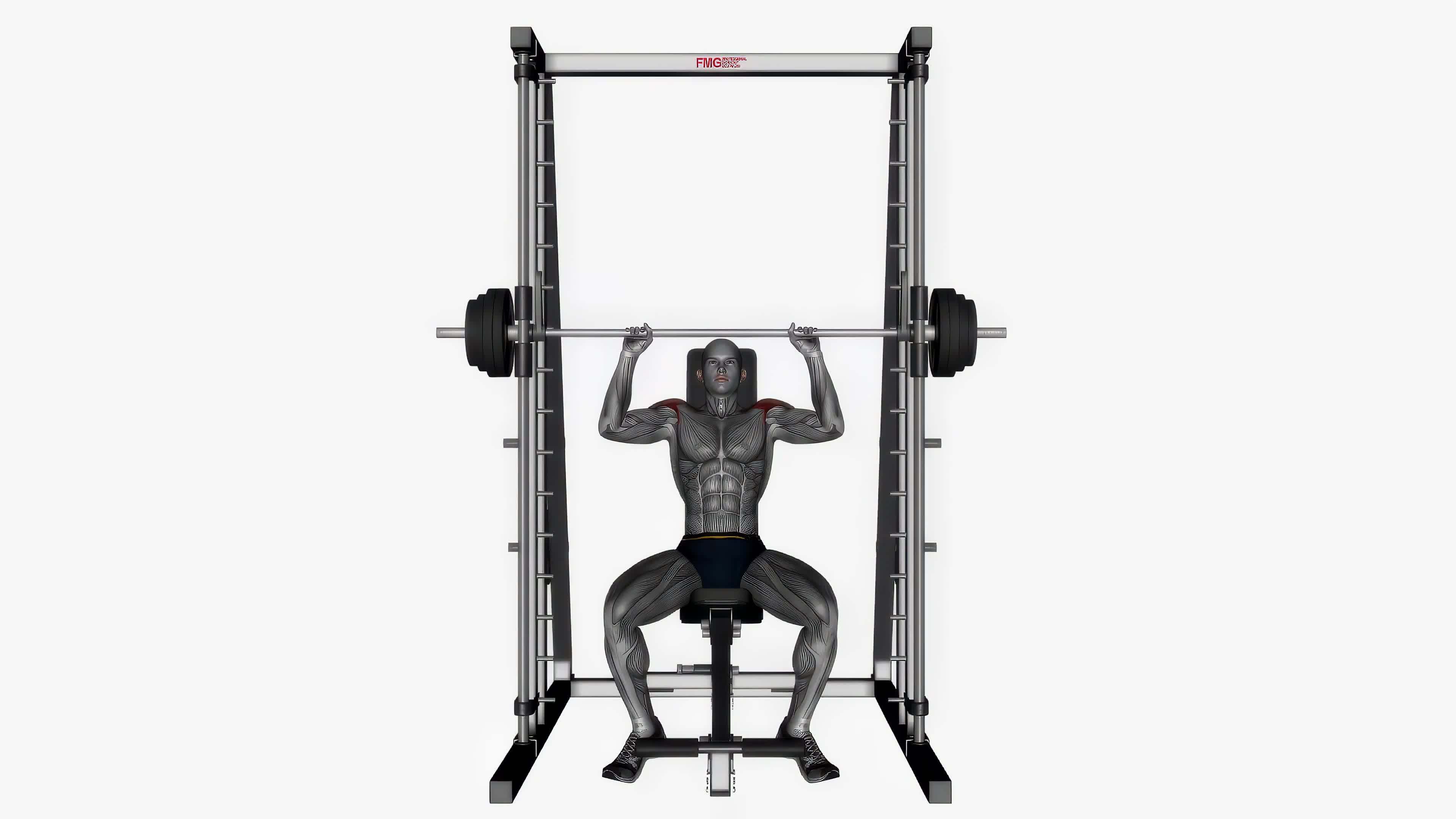 Smith machine shoulder press fitness exercise workout animation video male muscle highlight 4K 60 fps 20395627 Stock Video at Vecteezy Smith machine shoulder press fitness exercise workout animation video male muscle highlight 4K 60 fps 20395627 Stock Video at Vecteezy