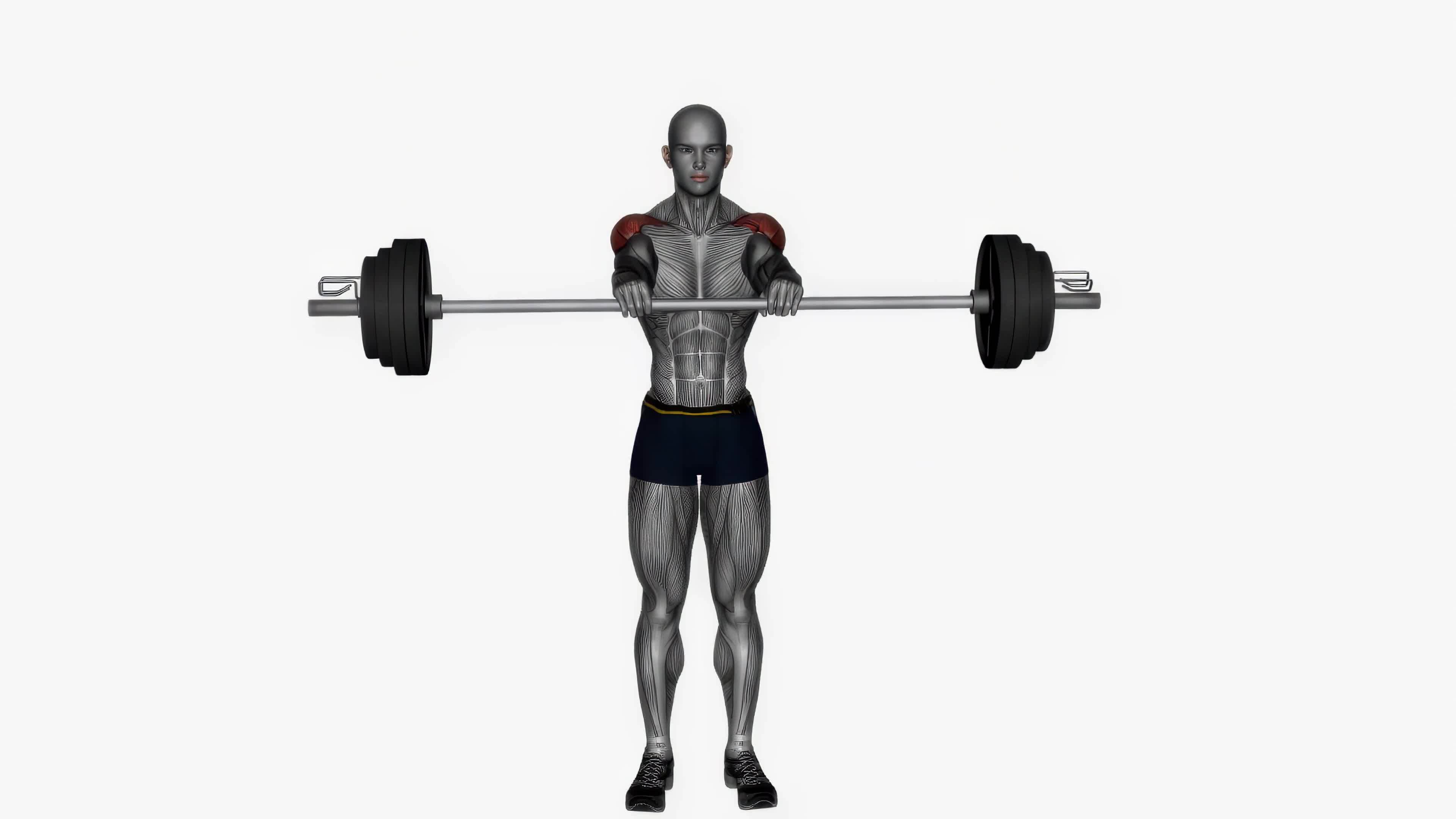 Front raises barbell fitness exercise workout animation video male