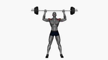 Workout Animation Stock Video Footage for Free Download Workout Animation Stock Video Footage for Free Download