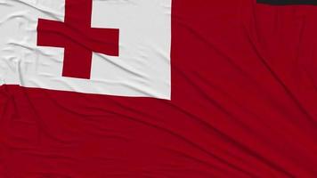 Tonga Flagge Stoff entfernen von Bildschirm, Einleitung, 3d Wiedergabe, Chroma Taste, Luma matt video