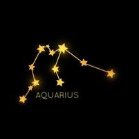 Acuario dorado zodíaco constelación, oro estrellas vector