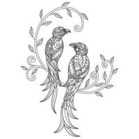 Birds and ivy hand drawn for adult coloring book vector