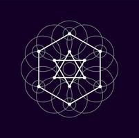 Alchemy sacred sign isolated geometric magic shape vector