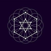 Alchemy sacred sign isolated geometric magic shape vector