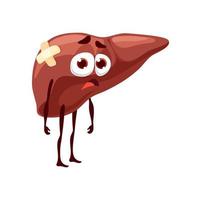 Liver sick body organ character, unhealthy organ vector