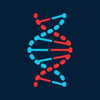 Twisted DNA molecule isolated genetic code icon vector