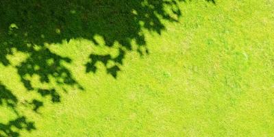 wall texture shadow tree background abstract design sunlight photo