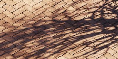 wall texture shadow tree background abstract design sunlight photo